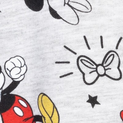 mickey mouse / minnie mouse
