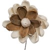 Vickerman 4" Natural Botanicals Dried Sola Flower on Wire Stem - 2 of 4
