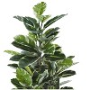 Gulches 52in Artificial Rubber Tree in Black Pot Green Real Touch Leaves Indoor Faux Floor Plant for Home Office Decor - 4 of 4