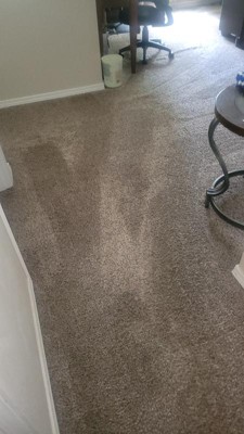 Guest review image 1 of 1, zoom in