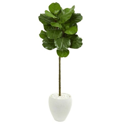 60" Artificial Fiddle Leaf Tree in Planter White - Nearly Natural