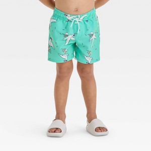 Toddler Boys' Sea Gull Printed Swim Shorts - Cat & Jack™ Aqua Green - 1 of 3