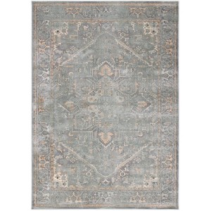 Vintage VTG114 Power Loomed Indoor Skid-Resistant Rugs - Safavieh - 1 of 4