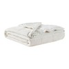 Sapphtopaz Reversible Plush to Microfiber Blanket, Temperature-Regulating Blanket, HeiQ Smart Temperature Down Alternative Blanket, Throw Blanket - 3 of 4