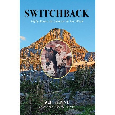 Switchback - by  W J Yenne (Paperback)