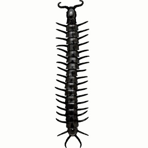 Fun World 24-inch Giant Black Centipede Decoration - 1 of 2