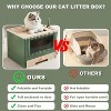 LunaLulinlk green Large litter box with lid, includes litter scoop, tray, and self-grooming side panels. - 2 of 4
