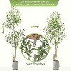 Artificial Olive Tree, 5-Foot (60 Inch),Olive Tree Artificial Indoor, White Planter and Green False Moss, 1-Piece Set - 4 of 4