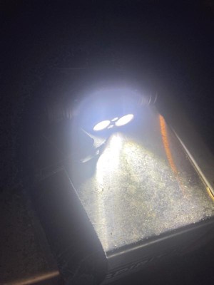 Guest review image 3 of 4, zoom in