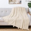 PAVILIA Fluffy Throw Blanket with Pompom, Lightweight Soft Plush Cozy Warm Pom Pom Fringe for Couch Sofa Bed - 3 of 4