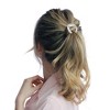 Unique Bargains Women's C-shaped Ponytail Buckle Hair Clip 1 Pc - 3 of 4