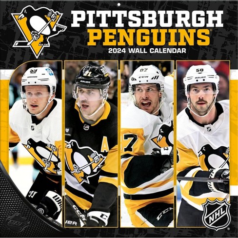 Pittsburgh Penguins on X: Stadium Series ready. The Penguins