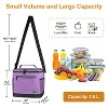Tirrinia Medium Insulated Lunch Bag for Mens Womens Kids, 20 Cans Leakproof Lunch Cooler Totes for Back to School - 3 of 4