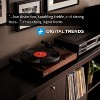 Fluance RT81 Elite Vinyl Turntable Record Player, Audio Technica Cartridge with Record Weight and Vinyl Cleaning Kit - 4 of 4