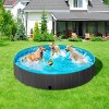 Yaheetech Foldable Pet Swimming Pool for Cats and Dogs - 2 of 4