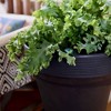 Crescent Garden Ridge Eco-Friendly Plastic Round Planter Pot Charcoal Gray 18"x16.7" - 4 of 4