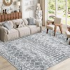 Low Pile Runner Rug - Non-Slip Stain Resistant Area Rug, Non-Shedding Throw Floor Cover for Kitchen Entryway Living Room Bedroom - 3 of 4