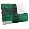 Eastern Michigan University Campus Plaid Spirit Silky Touch Super Soft Throw Blanket 50x60 - 3 of 4