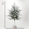 Sullivans 48" Artificial Flocked Pine Tree In Bag, Green - 4 of 4