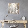 iCanvas Sunset Birch Forest III by Eva Watts Canvas Print Wall Art - 3 of 3
