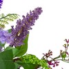 Northlight Lavender and Spring Foliage Artificial Wreath, Purple - 20-Inch - 4 of 4
