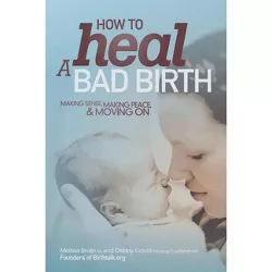 How to Heal a Bad Birth - by  Melissa J Bruijn & Debby A Gould (Paperback)