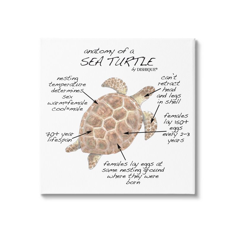 Stupell Industries Sea Turtle Anatomy Marine Life Animal Chart Canvas Wall Art, 1 of 6