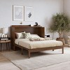 Queen Size Pine Wood Murphy Bed with Rattan Panel and Built-In Charging Ports,Cabinet Bed for Small Spaces-The Pop Home - 2 of 4