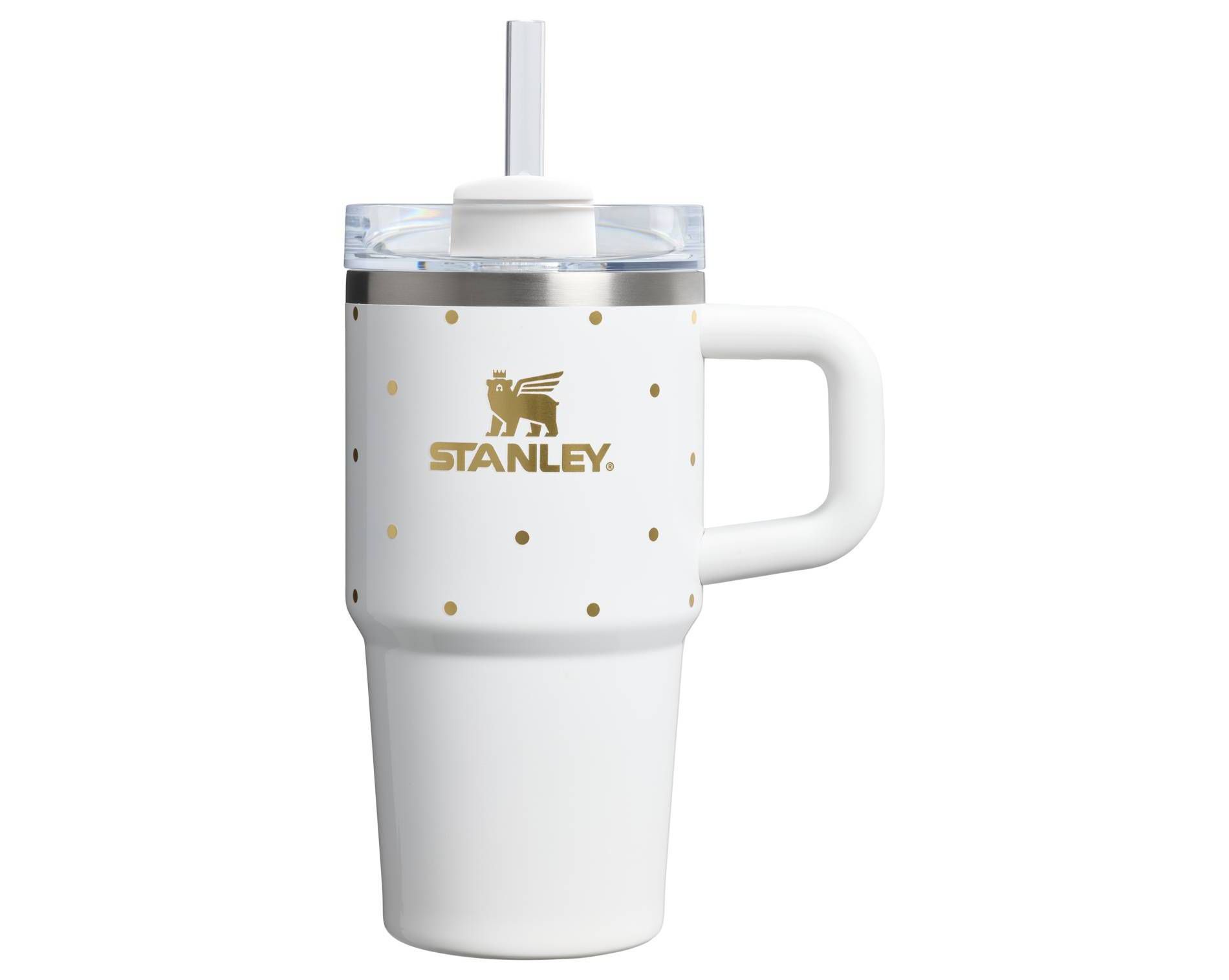 Stanley 20 oz Stainless Steel H2.0 FlowState Quencher Tumbler Frost Polka Dot