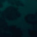 clear push pins bundle