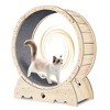 Gulches Cat Exercise Wheel for Indoor Cats,Cat Sport Treadmill Wheel for Kitty's Longer Life,Fitness Weight Loss Device,37inch Natural Wood Color - 2 of 4
