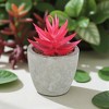 Unique Bargains Artificial Plants Mini 5-Tier Aloe in Pulp Plastic 1.97"x1.97"x3.94" 1 Pcs - 2 of 4