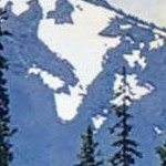 rustic plank espresso narrow