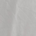 white - paragon design