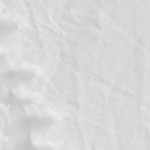 white - paragon design