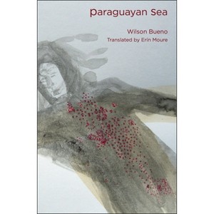 Paraguayan Sea - by  Wilson Bueno (Paperback) - 1 of 1