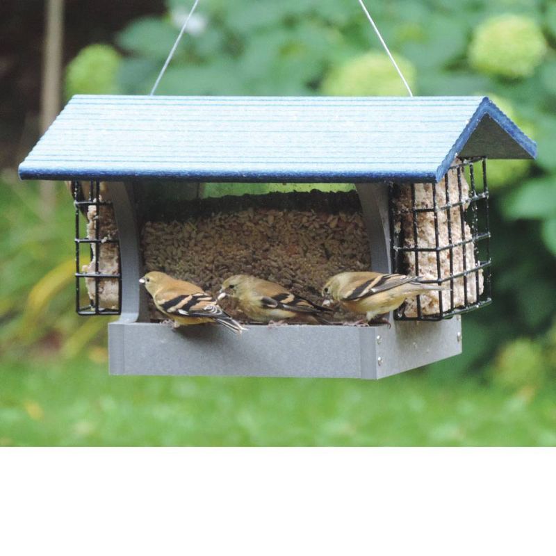 Birds Choice Medium Hopper Suet Cage Novelty Bird Feeder 8&#34; Gray &#38; Blue, 5 of 6