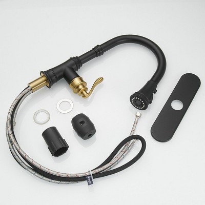 Matte Black and Gold Single-Handle Pull-Down Kitchen Faucet