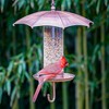 Good Directions Steel Rainy Day Umbrella Inspired Novelty Bird Feeder 16" - 3 of 4