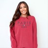 Simply Sage Market Embroidered Paris France Flag Garment Dyed Sweatshirt - 2 of 4