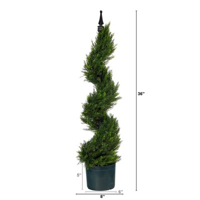 Elegant Cypress Spiral Topiary in Sleek Planter, 39" Green