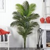 Nearly Natural 6-ft Artificial Paradise Palm Tree (No Pot) - 3 of 4