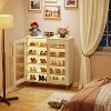 Hommoo Shoe Cabinet with Acrylic Doors and LED Light - 3 of 4