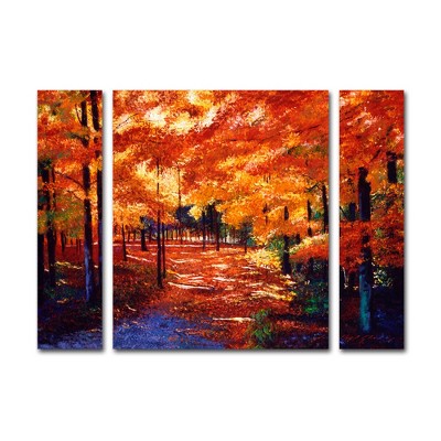 Trademark Fine Art-David Lloyd Glover 'Magical Forest' Multi Panel Art Set Large
