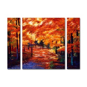 Trademark Fine Art-David Lloyd Glover 'Magical Forest' Multi Panel Art Set Large - 1 of 3
