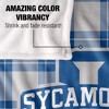 Indiana State University Campus Plaid Spirit Silky Touch Super Soft Throw Blanket 50x60 - 4 of 4