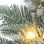 bracket-shaped basin