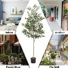 poetree 6FT Tall Olive Trees Artificial Indoor, Olive Tree Plants, Faux Olive Tree with Realistic Trunk, Leaves, Fruits,flower pot for Home Decor - 3 of 4