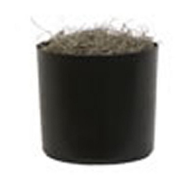 Elegant 4' Silk Capensia Floor Plant in Sleek Black Pot