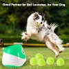 6 Pack Mini Tennis Balls for Pet Playing Fecth - 2 of 3